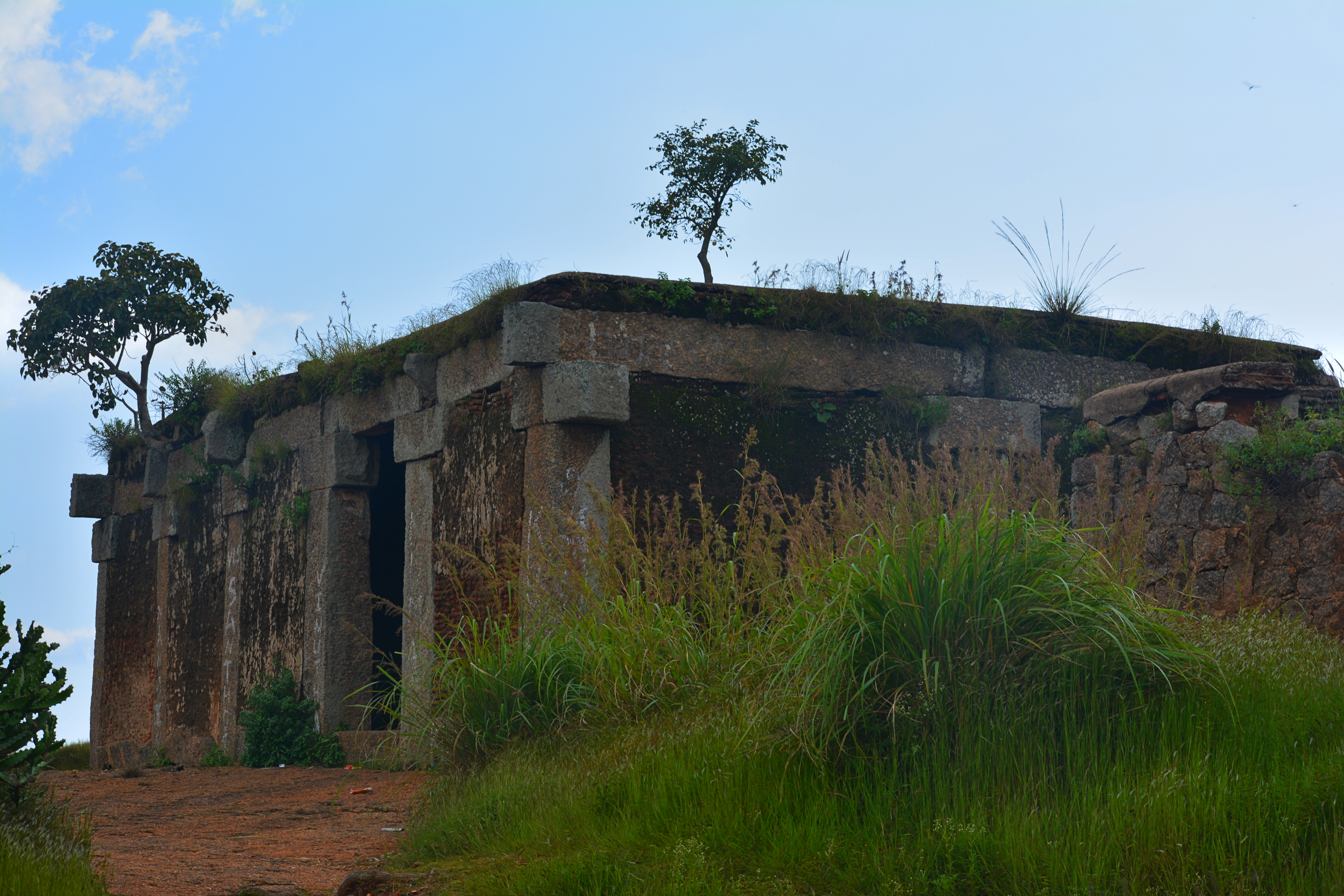 Ruins on Savandurga Hill